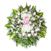 Lagrima 6