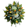 Lagrima 8