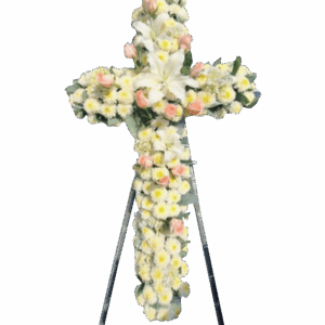Cruz 1