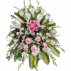Lagrima 8