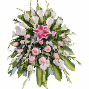 Lagrima 8